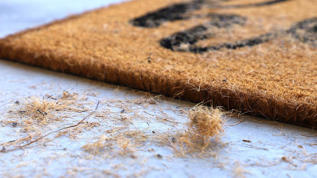 No More Bull-Shed: Coco Mats vs. WaterHog: Why One Sheds and the Other Shows Up