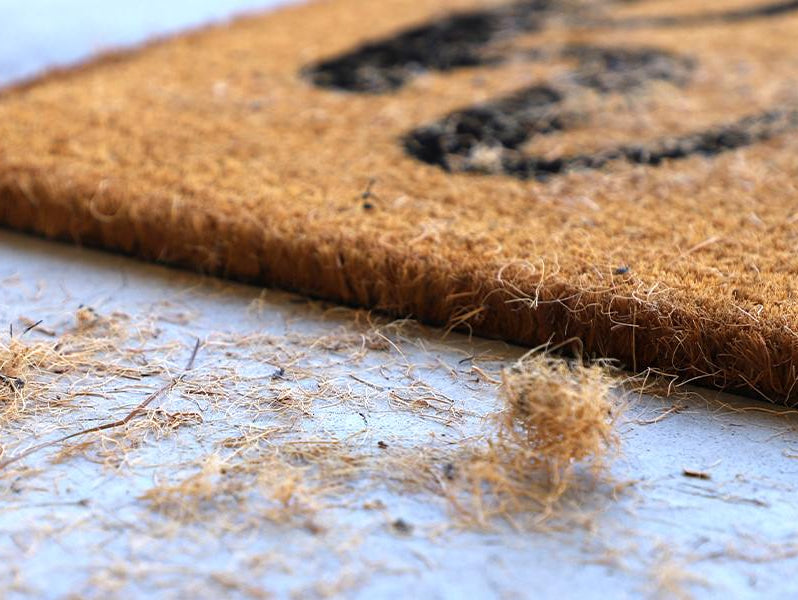 No More Bull-Shed: Coco Mats vs. WaterHog: Why One Sheds and the Other Shows Up