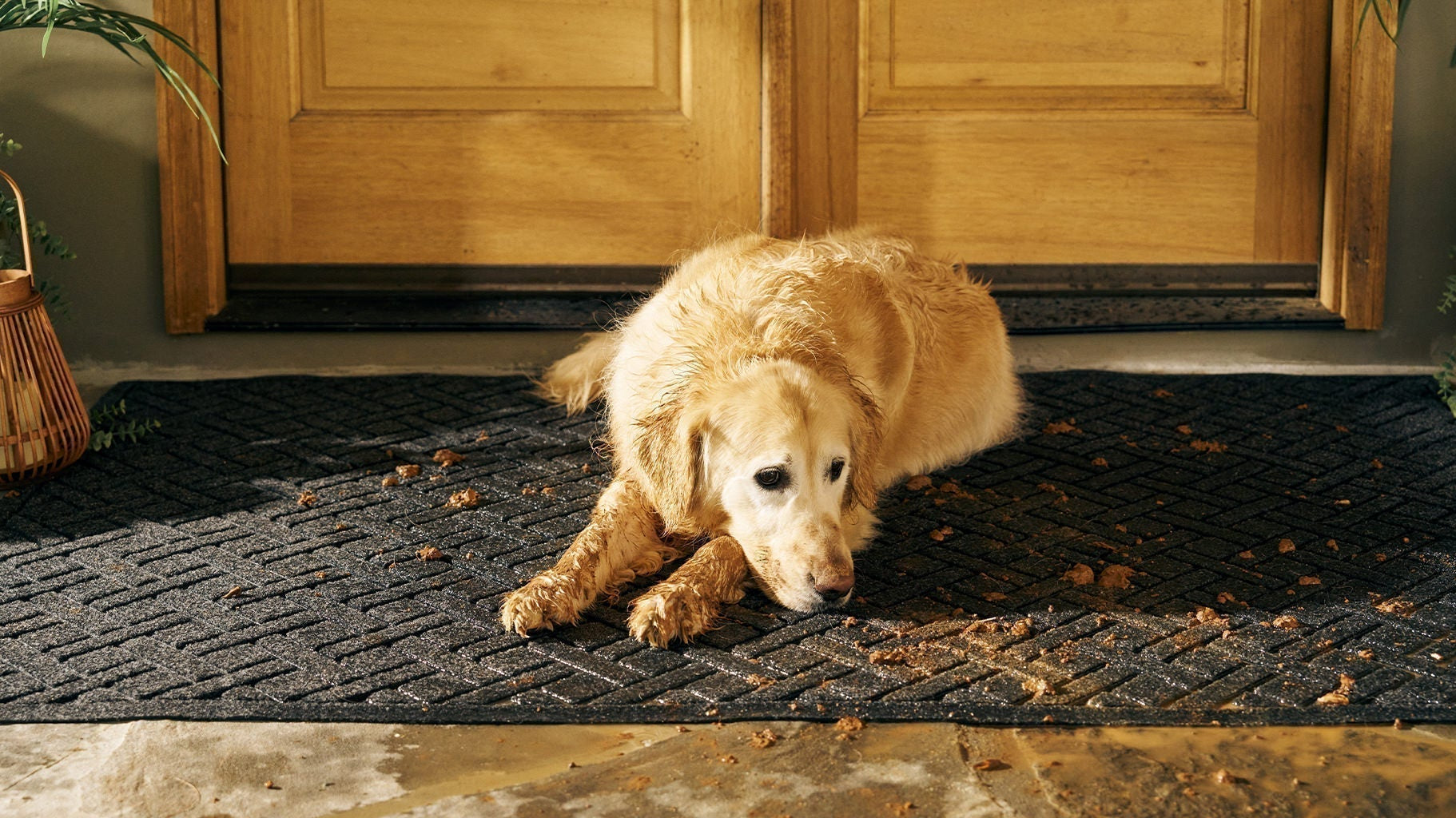The Only Doormat Actually Designed to be Disrespected
