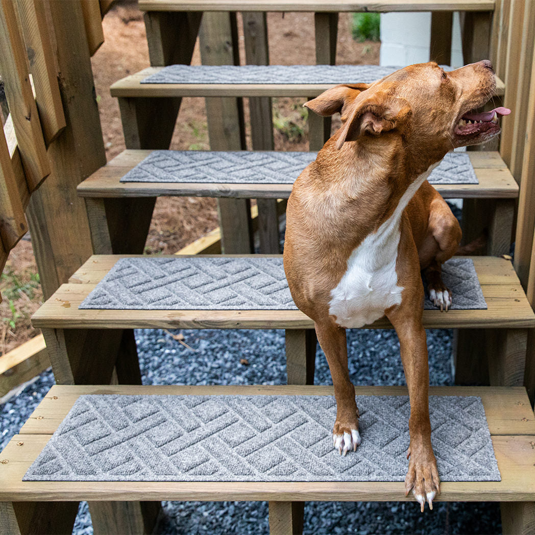A brown and white dog sits on a set of wooden outdoor steps fitted with grey WaterHog Lattice Stair Treads. The textured mats line each step, creating a clean, patterned surface against the wood and gravel below.