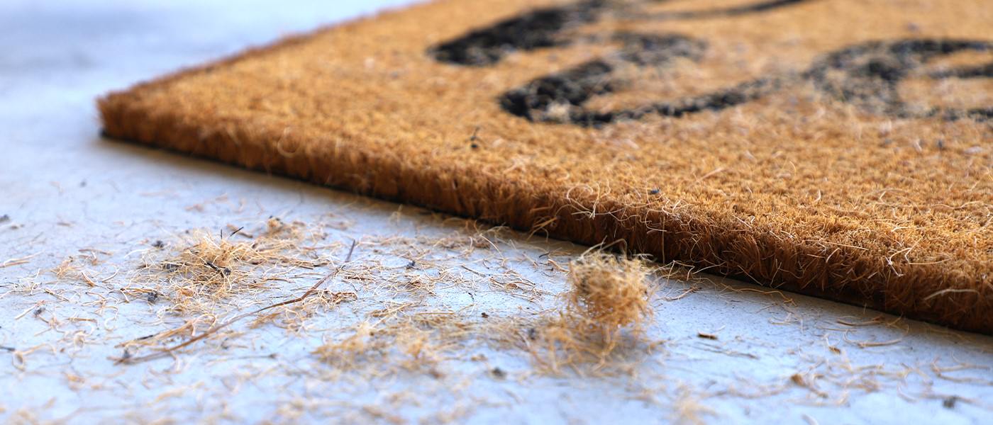 No More Bull-Shed: Coco Mats vs. WaterHog: Why One Sheds and the Other Shows Up