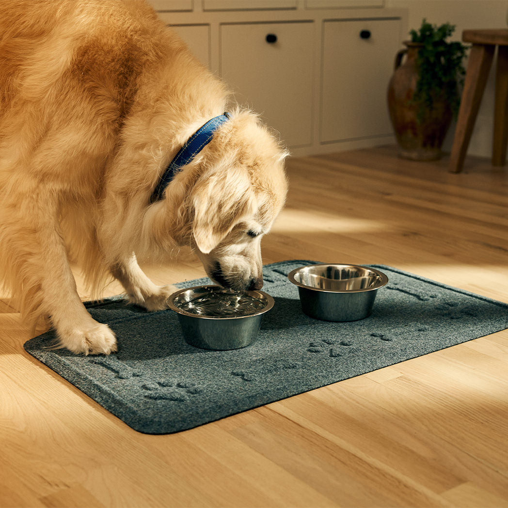 A dog drinking water off of his personalized bluestone Drool Hog mat, protecting the floors from his water spills.