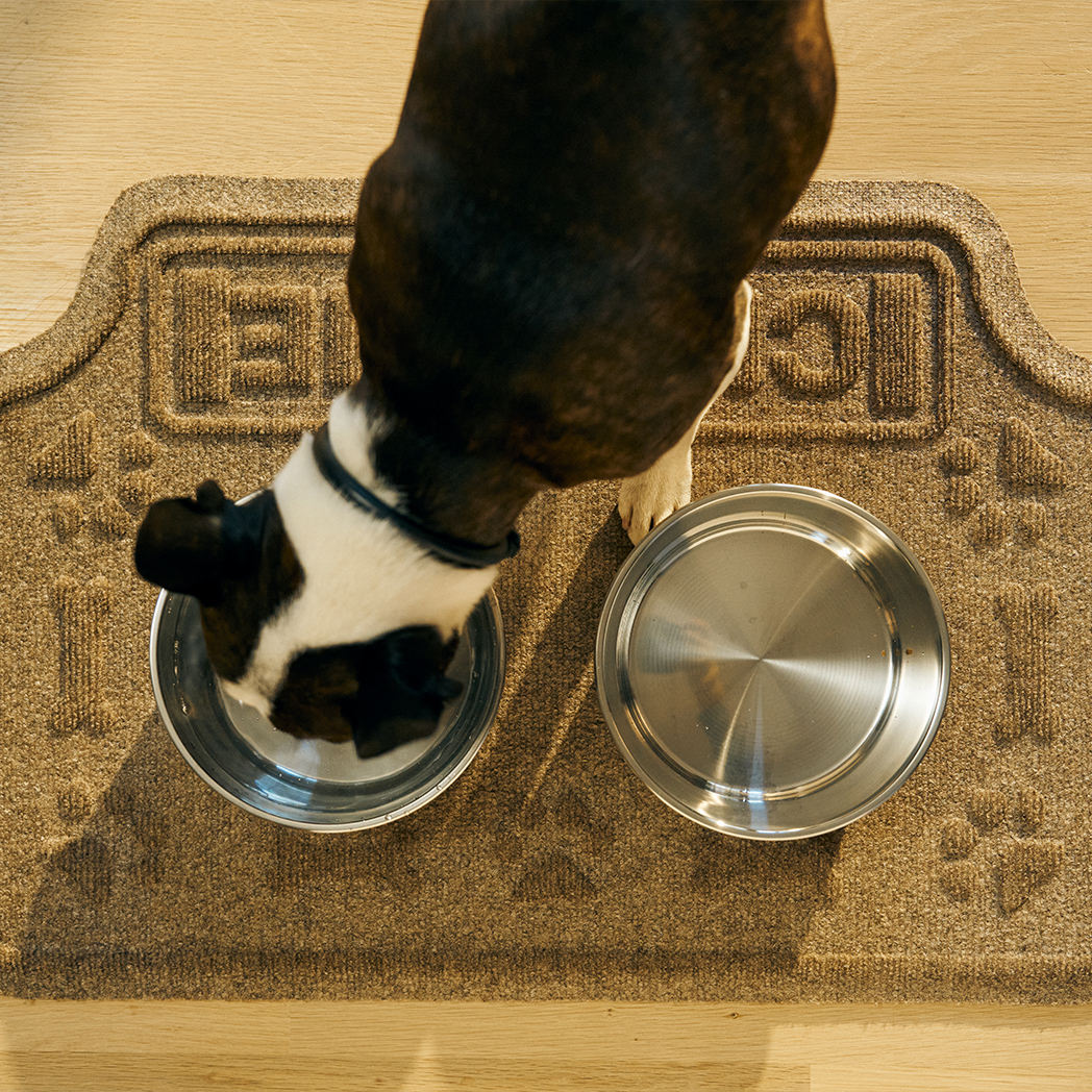 Overhead of a small dog drinking water on his camel WaterHog Drool Hog mat, that is personalized with his name Charlie.