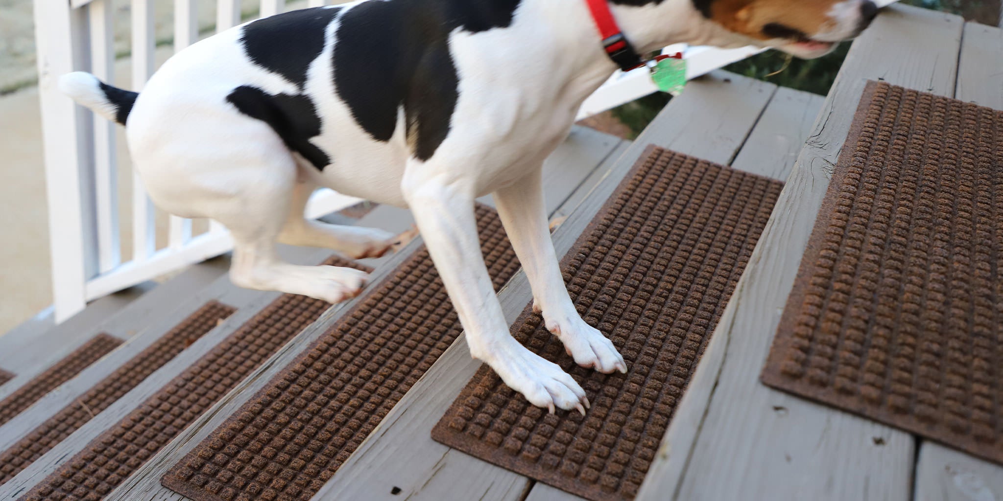 Durable WaterHog stair treads in squares pattern in dark brown color are placed on outdoor stairs to help provide traction and grip for a dog going up the steps.