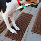 Dark brown WaterHog Stair Treads in small repeating squares design on wooden stairs with a dog running up them.